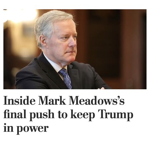 Mary L Trump tweet media