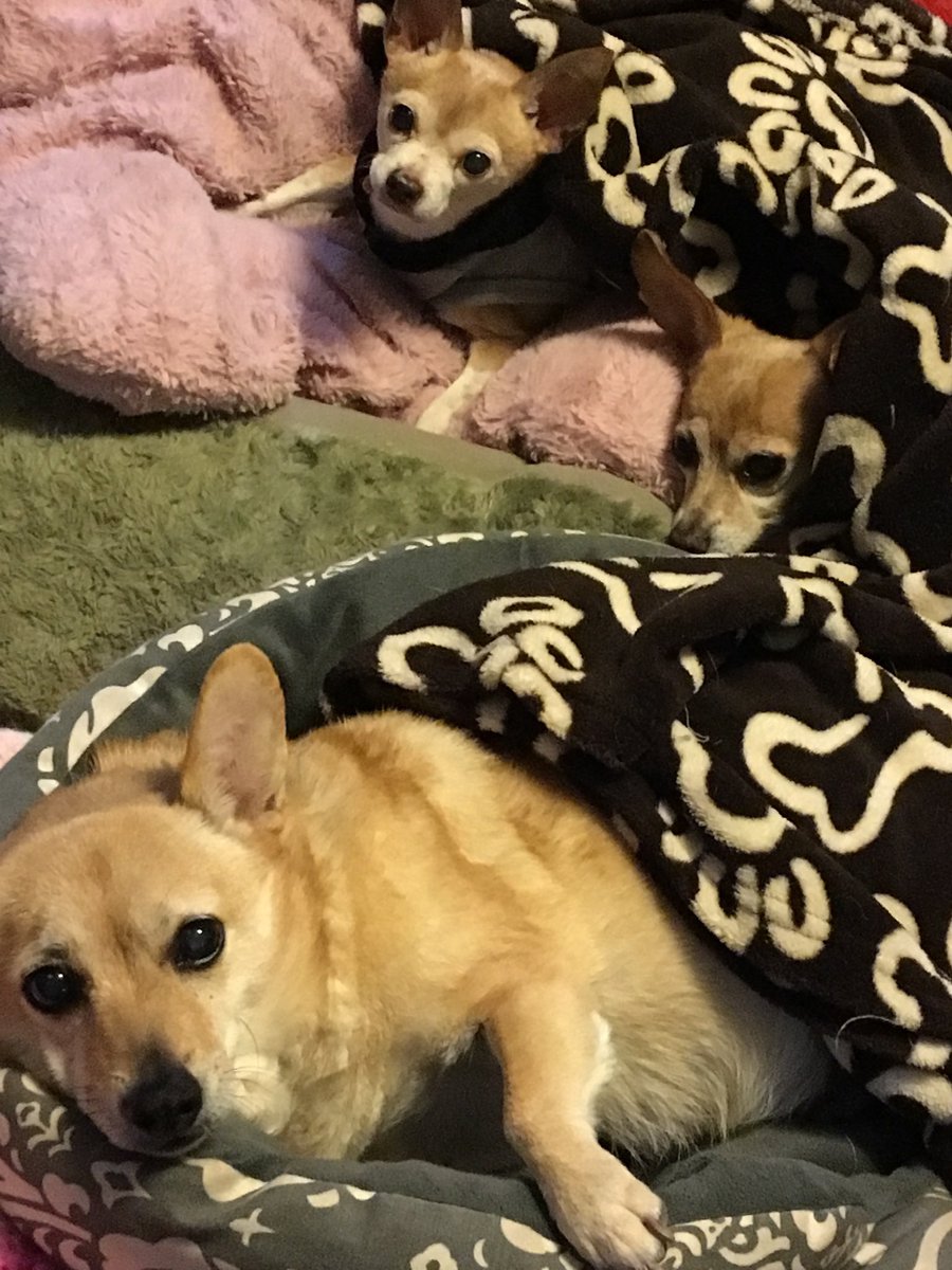 Linda Wint tweet media