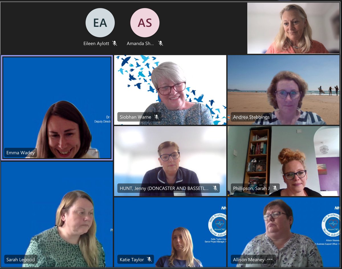 HGadsbyICU's tweet photo. Very proud to be part of the #PNA programme and to speak at the National Webinar today. Connecting with amazing people who inspire and engage me in this role. @NursingEmma @samantha_lungu @StebbingsAndrea @Siobhan_LeadPNA @S_Smillie_NHS @capito_clare @sunday1964 https://t.co/dcmQubKzQy