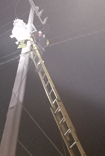 Enel_Informa_CL's tweet photo. [12:16] Continuamos trabajando en #CorteDeEnergía en sector desde Cuesta Chacabuco hasta Quilapilún en la comuna de Colina. Por nivel de complejidad el tiempo estimado de reposición de suministro es a las 14:00 hrs. Les compartimos imágenes de las labores realizadas. https://t.co/Ux68eycxHs
