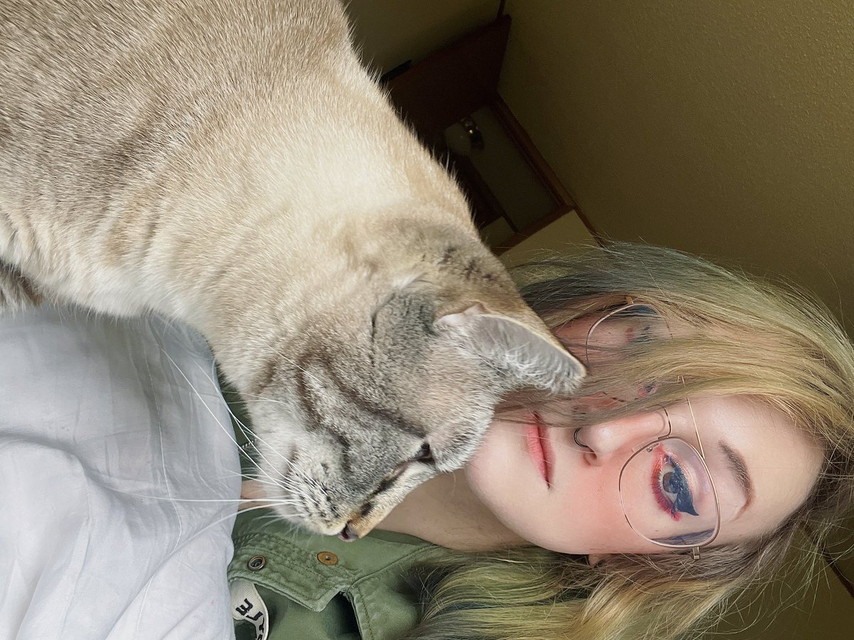 Mr cat doesn’t want me taking selfies. He only wants PETS