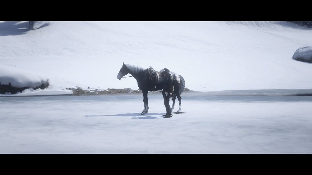 scareface_1970's tweet photo. @Rockstargames #RedDeadRedemption2 #RockstarGames
I love this game. Hope to see soon new updates. https://t.co/UyhsLbdER6