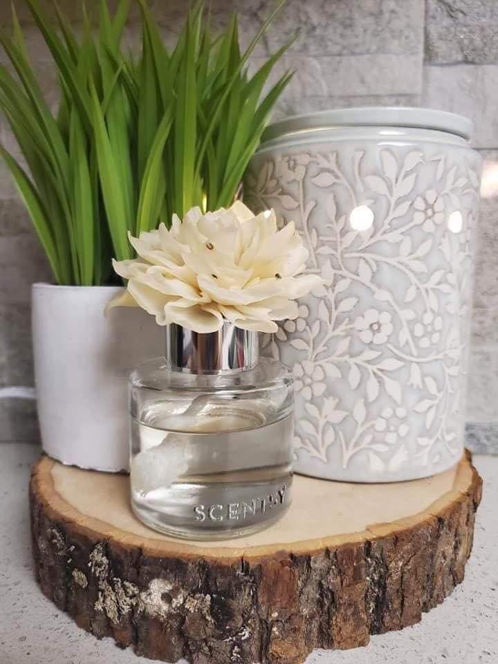 ScentsyClub's tweet photo. https://t.co/95VGcWKMMY