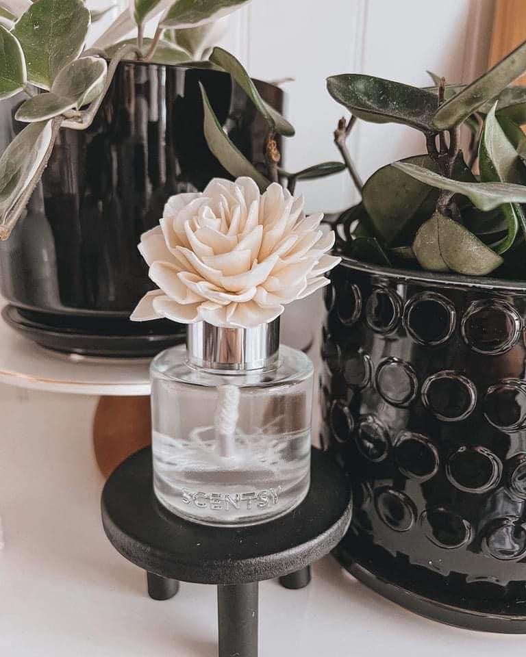 ScentsyClub's tweet photo. https://t.co/PS6kmnMoeY