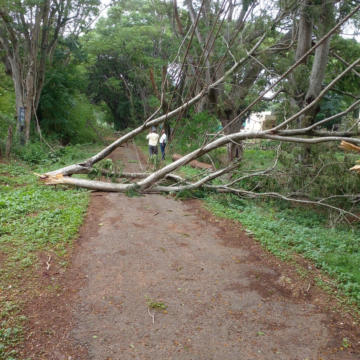 aeehescomcsd2's tweet photo. Rain Damages in sub division https://t.co/yGwT3D81G9