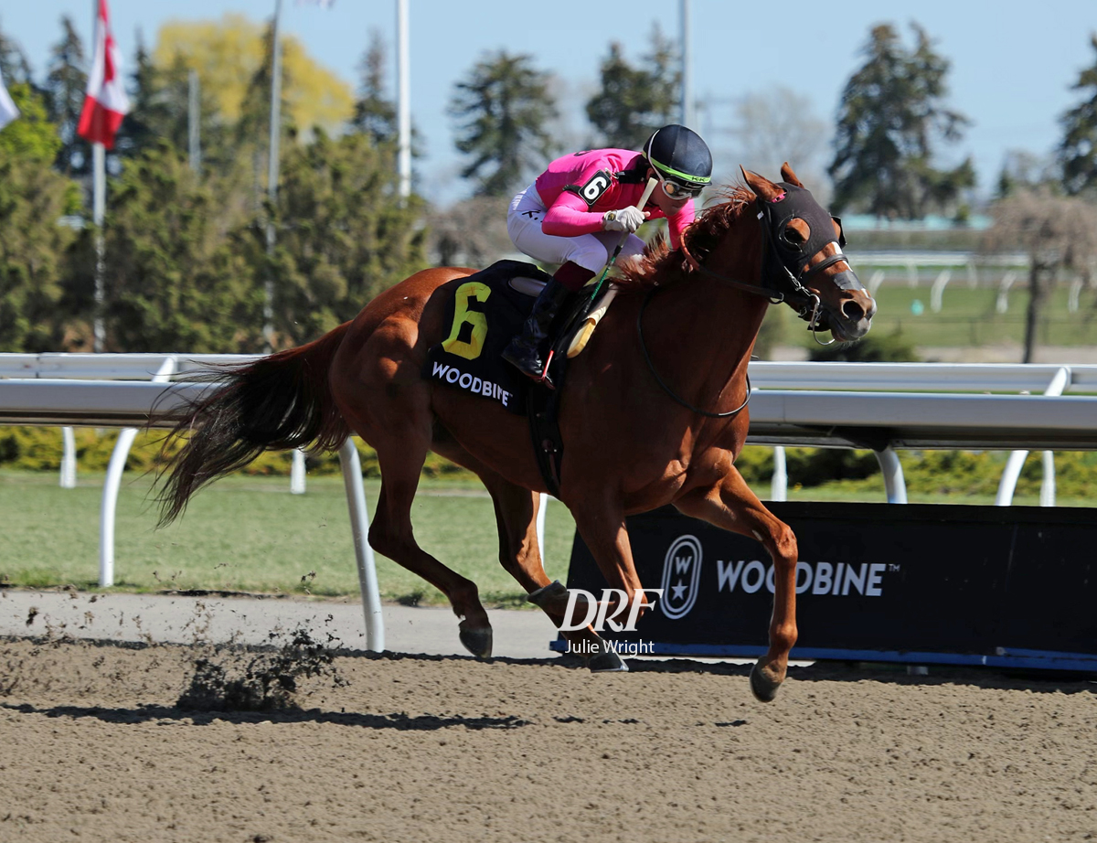 Daily Racing Form on Twitter: