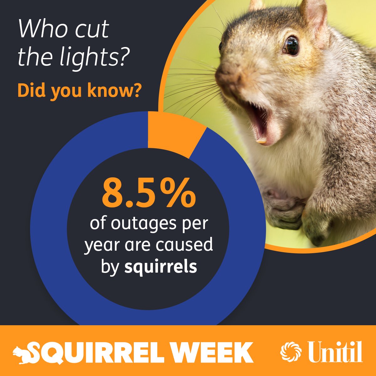 Unitil's tweet photo. #SquirrelWeek Fact ๐ฟ๏ธ
On average, our furry pals cause 8.5% of all annual outages in Unitilโs service territory! In the next few days, weโll burrow into more details about our neighbors, their unique relationship with us, and how we can help #SaveTheSquirrels. https://t.co/3ZbqZy7Zlw