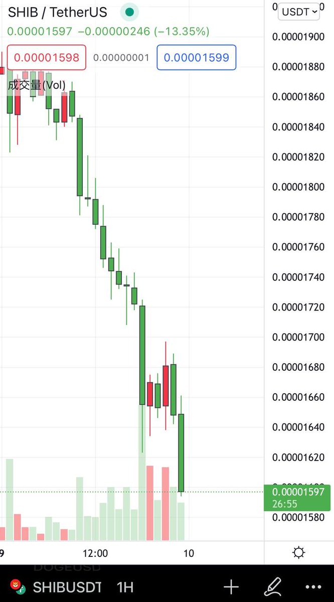 ₿eeLiever 👑 tweet media