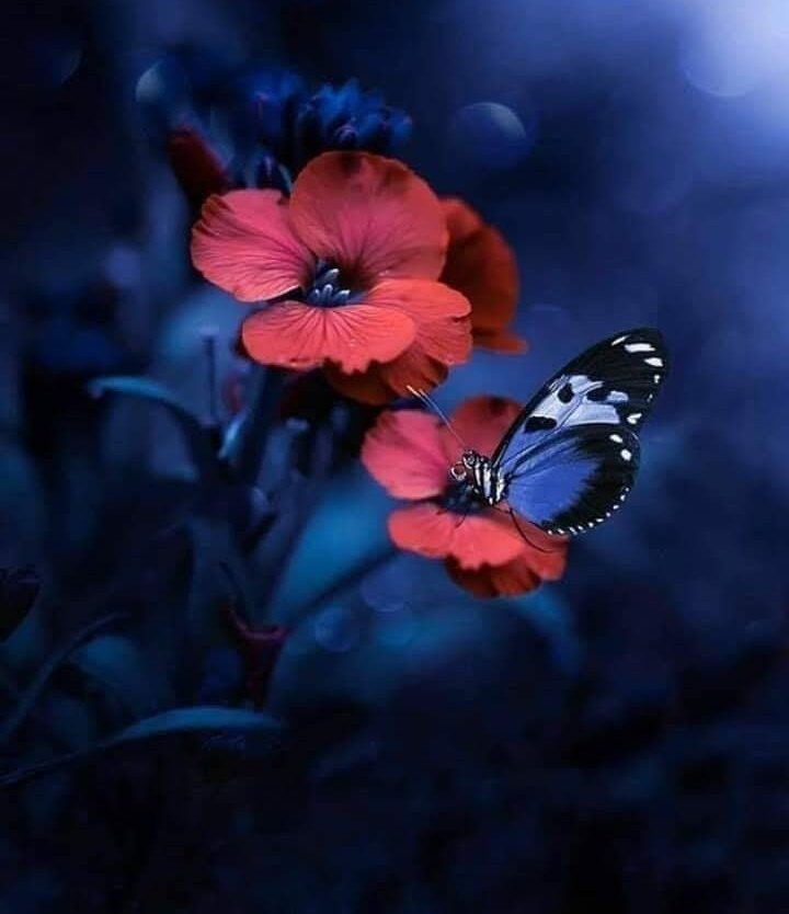 TLeoni311's tweet photo. Good evening https://t.co/48zw8SmJS1