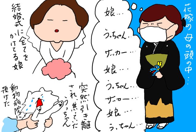 akitanoiitoko's tweet photo. 5月8日、娘の結婚式
動物病院に預けられた愛犬
#ブラウブリッツ秋田
の横浜FC戦

オバチャマ大切な日なのに、色々気になって頭がくるくるパーに

サッカーの経過にハラハラ

二人のヒストリー写真が映される為、暗くなった時になんとゴール！

高砂の席の娘達に報告に行ったわ、とても喜んでくれたわ✨ https://t.co/SXZ88iRsv2
