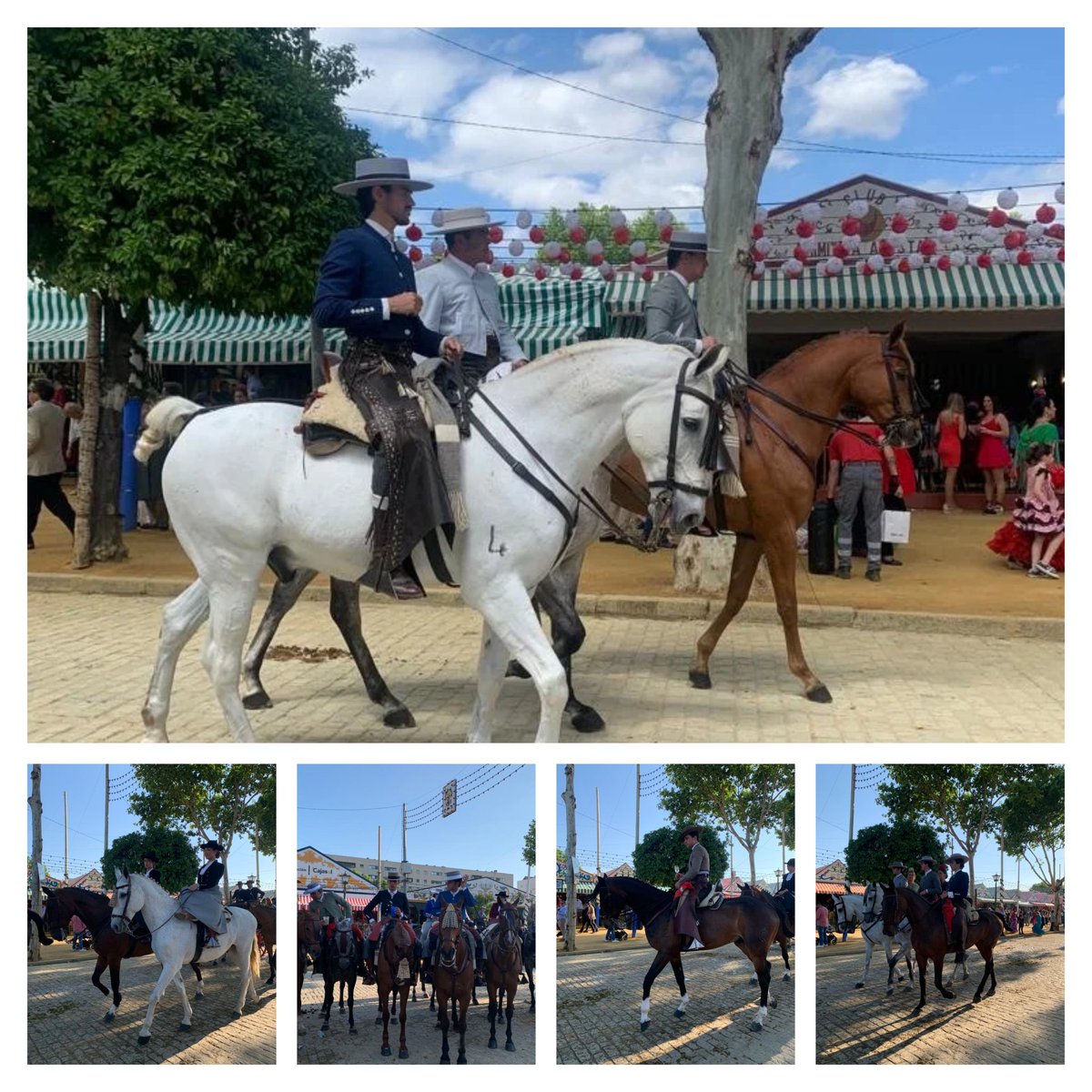 aeccaa's tweet photo. 🔹️ Imágenes de la #FeriaSevilla2022. 

Éstas son algunas de las fotos que nos han enviado nuestros amigos que han participado en nuestro sorteo de Instagram. 

Gracias a todos por participar. 

#angloarabe
#feriadeabril https://t.co/MX6EnZJeKK