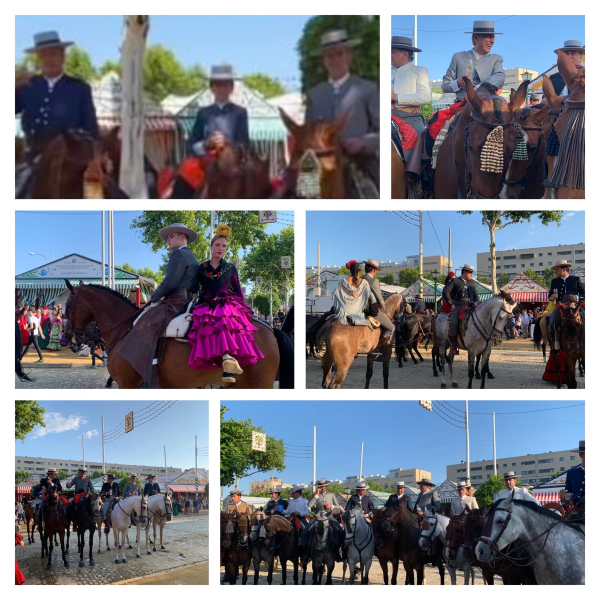 aeccaa's tweet photo. 🔹️ Imágenes de la #FeriaSevilla2022. 

Éstas son algunas de las fotos que nos han enviado nuestros amigos que han participado en nuestro sorteo de Instagram. 

Gracias a todos por participar. 

#angloarabe
#feriadeabril https://t.co/MX6EnZJeKK
