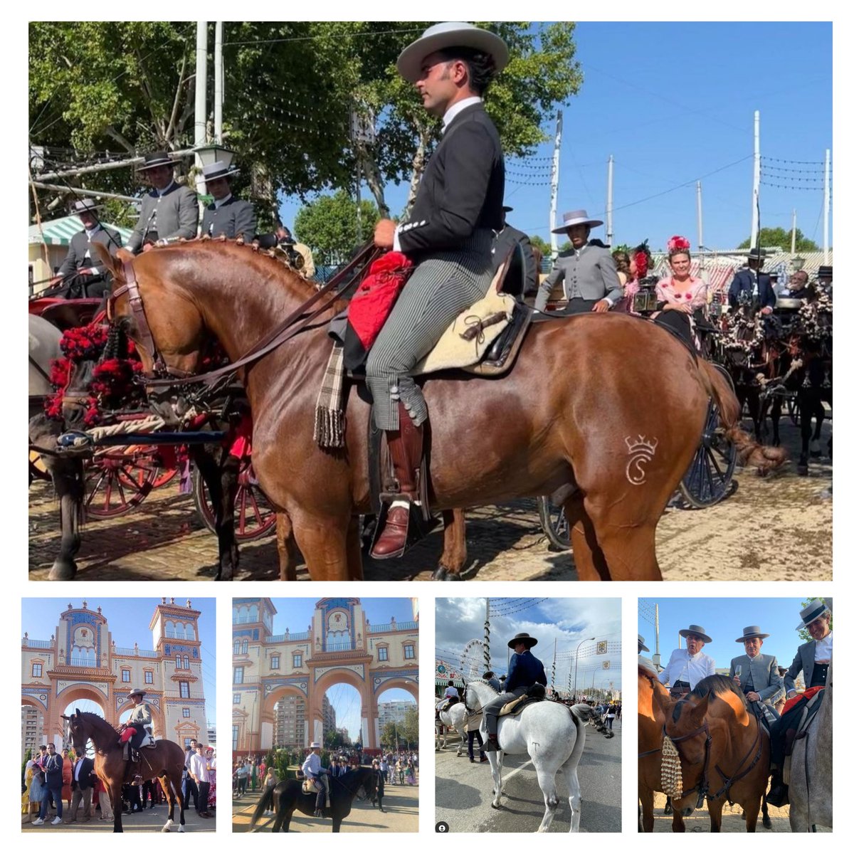 aeccaa's tweet photo. 🔹️ Imágenes de la #FeriaSevilla2022. 

Éstas son algunas de las fotos que nos han enviado nuestros amigos que han participado en nuestro sorteo de Instagram. 

Gracias a todos por participar. 

#angloarabe
#feriadeabril https://t.co/MX6EnZJeKK