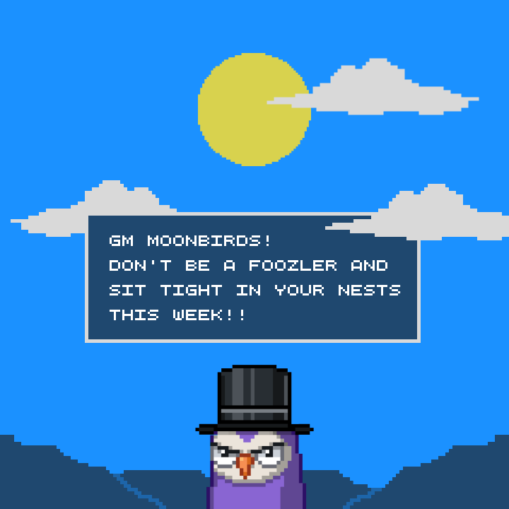 tothemoonbird's tweet photo. Gm @moonbirds! Don't be a foozler and sit tight in your nests this week!! #birdfollowbird https://t.co/lL7T7f4v1e