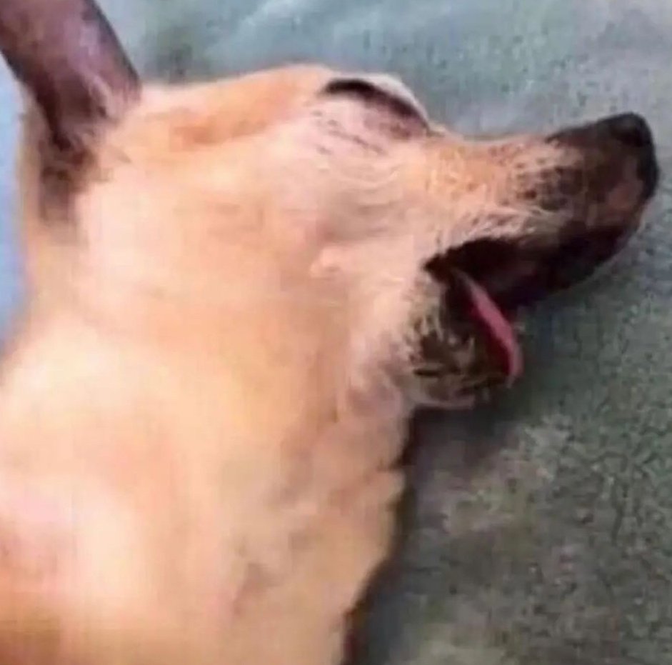 jeighsmallz's tweet image. Me sacrificing my job for another 10 minutes of sleep