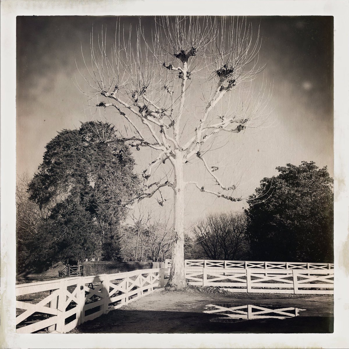 Thom Middebrook tweet media