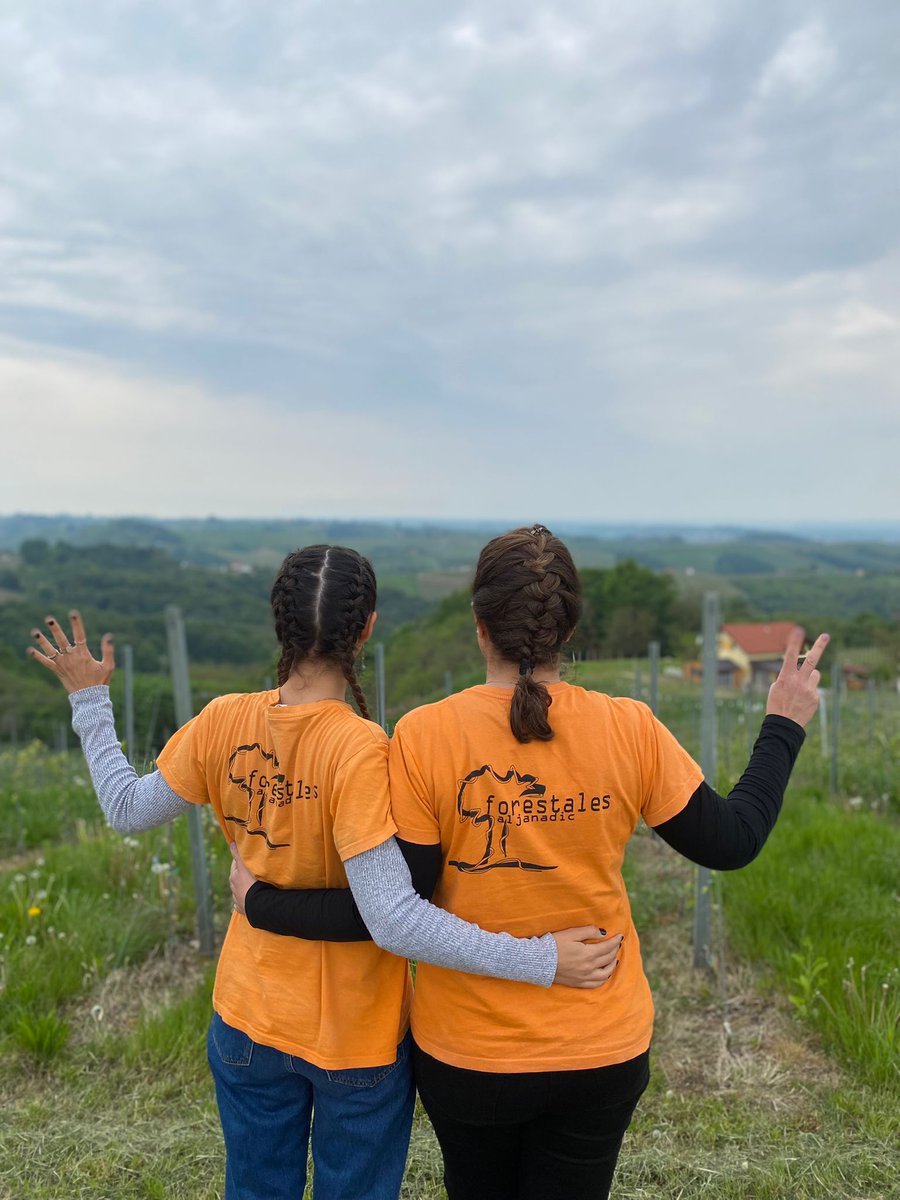 IESAljanadic's tweet photo. Nuestras compañeras han viajado a Čakovec en Croacia al centro Gospodarska School. Nueva movilidad Erasmus+ para profesorado para preparar futuras prácticas en Europa para nuestro alumnado. #FPErasmus #Sepie #ProyectodeFormaciónyMejoradelasCompetenciasAgroforestalesenEuropa https://t.co/IoPyI9eJin