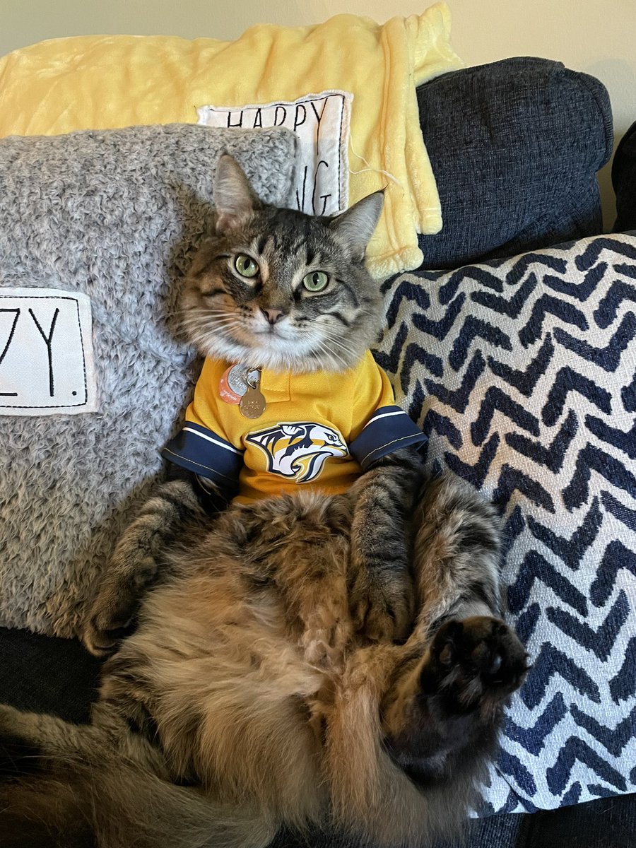 Katie_ann29's tweet photo. Misha is ready for game 4 tonight!! #standwithus @PredsNHL https://t.co/7CFwCFj1bH