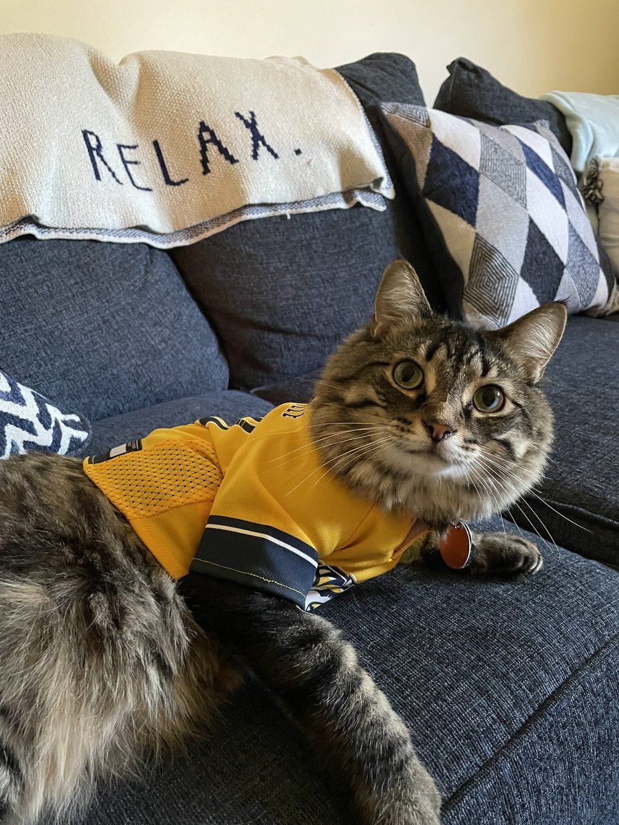 Katie_ann29's tweet photo. Misha is ready for game 4 tonight!! #standwithus @PredsNHL https://t.co/7CFwCFj1bH