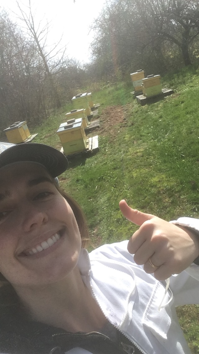 HillierLab's tweet photo. The #fieldwork season is in full swing here @HillierLab! @AlicjaMuir is out getting #honeybee drone brood infested with #varroadestructor mites for her #MSc project. ๐#research #entomology #acadiau https://t.co/A5yAPFaLPR