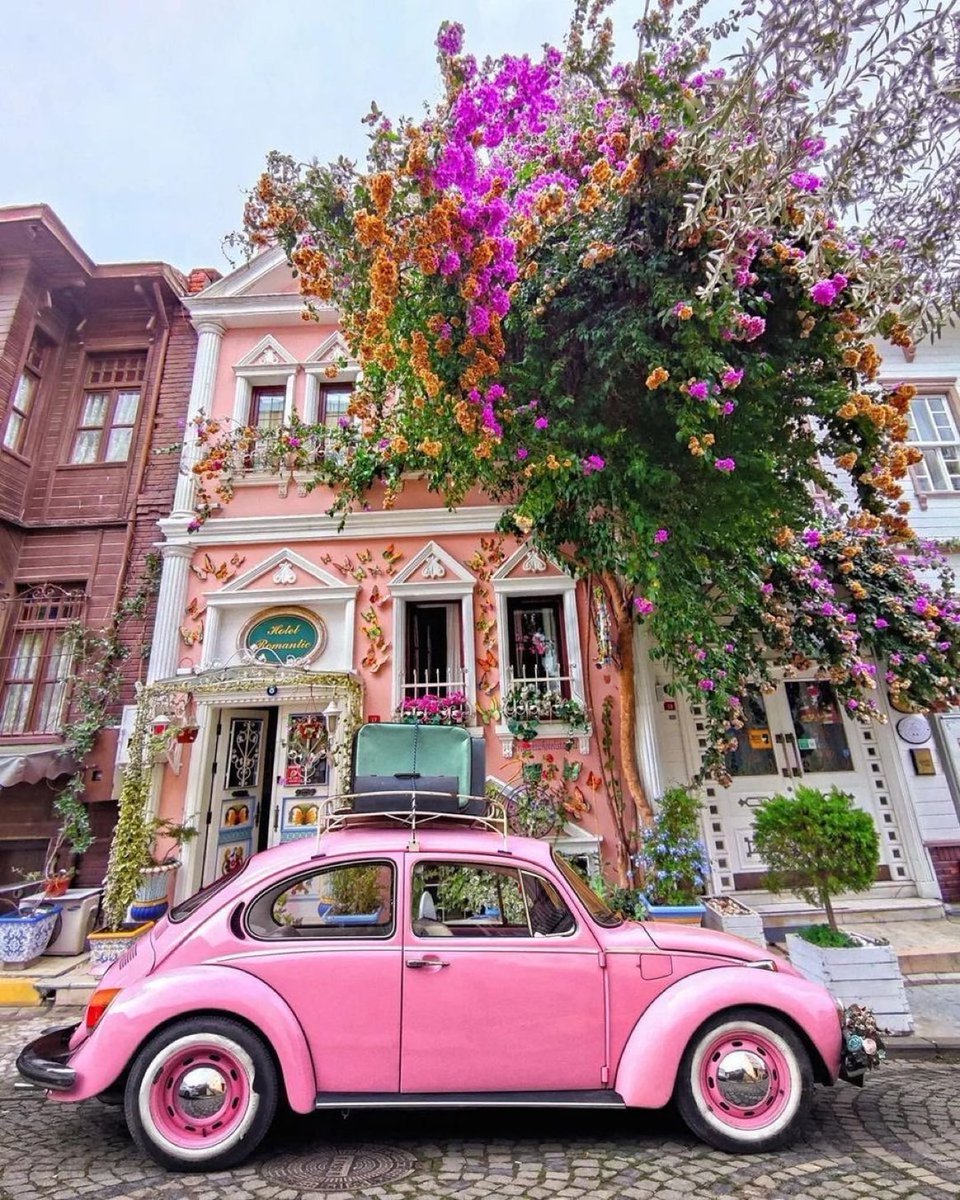 viewsoff's tweet photo. Istanbul, Turkey https://t.co/wbs7GlXr4F