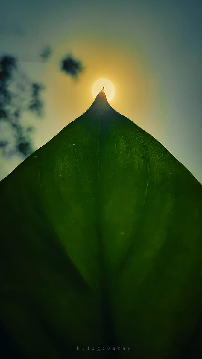 muthu_Kumar_26's tweet image. 🌤️
கதிரவனே
வா வா காதலிப்போம் வா வா😘💋

#differenttimings 
#DifferentDimensions