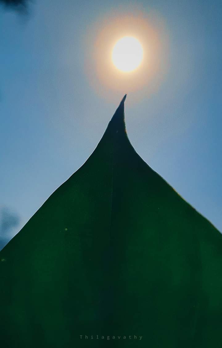 muthu_Kumar_26's tweet image. 🌤️
கதிரவனே
வா வா காதலிப்போம் வா வா😘💋

#differenttimings 
#DifferentDimensions