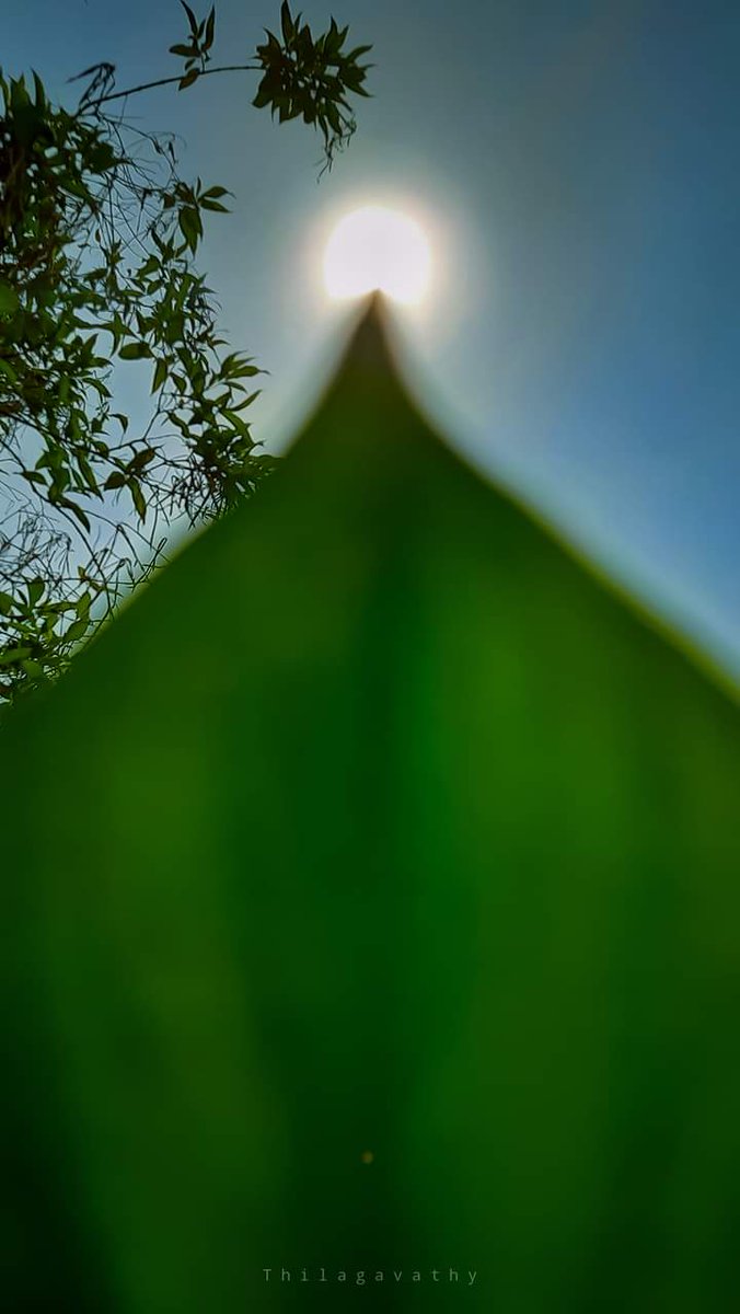 muthu_Kumar_26's tweet image. 🌤️
கதிரவனே
வா வா காதலிப்போம் வா வா😘💋

#differenttimings 
#DifferentDimensions