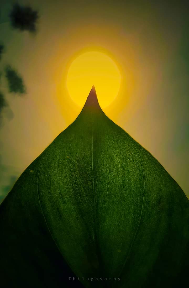 muthu_Kumar_26's tweet image. 🌤️
கதிரவனே
வா வா காதலிப்போம் வா வா😘💋

#differenttimings 
#DifferentDimensions