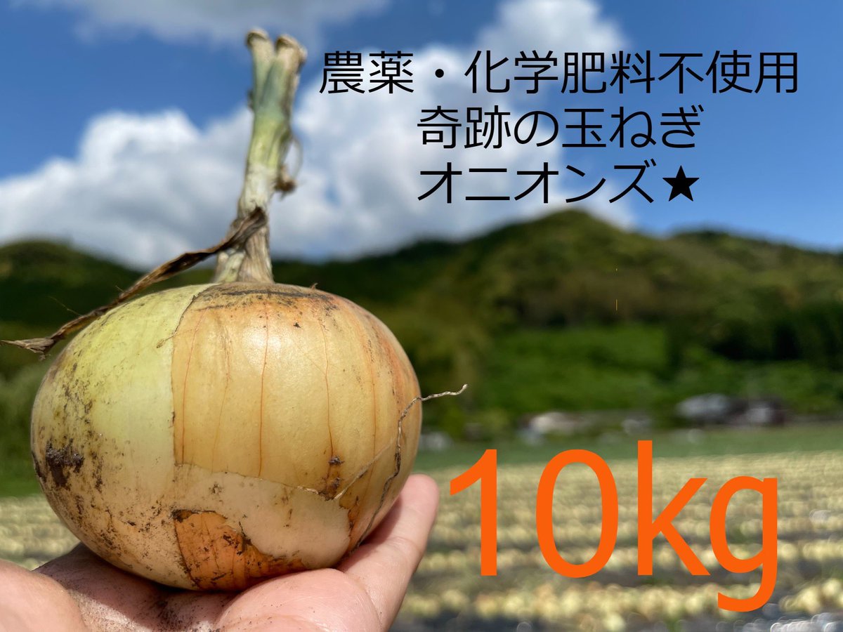 kansha_for_all's tweet photo. 夜分遅くに失礼します🙇‍♂️

農薬・化学肥料不使用‼️
これぞ本物‼️本坊農園👨‍🌾✨

奇跡の玉ねぎ★オニオンズ🧅💫

本日より発送開始です🧅໒꒱
辛みが少なく、瑞々しく美味しいです☺️
👇👇
https://t.co/7kaomFEUha

#宮崎県えびの市
#本坊農園
#農薬・化学肥料不使用 https://t.co/AMj0xVsuJR