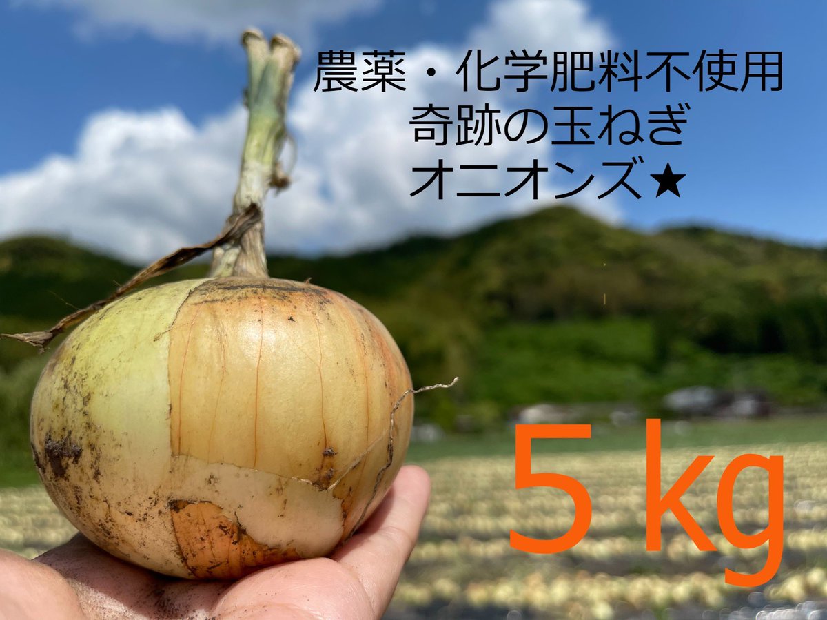 kansha_for_all's tweet photo. 夜分遅くに失礼します🙇‍♂️

農薬・化学肥料不使用‼️
これぞ本物‼️本坊農園👨‍🌾✨

奇跡の玉ねぎ★オニオンズ🧅💫

本日より発送開始です🧅໒꒱
辛みが少なく、瑞々しく美味しいです☺️
👇👇
https://t.co/7kaomFEUha

#宮崎県えびの市
#本坊農園
#農薬・化学肥料不使用 https://t.co/AMj0xVsuJR