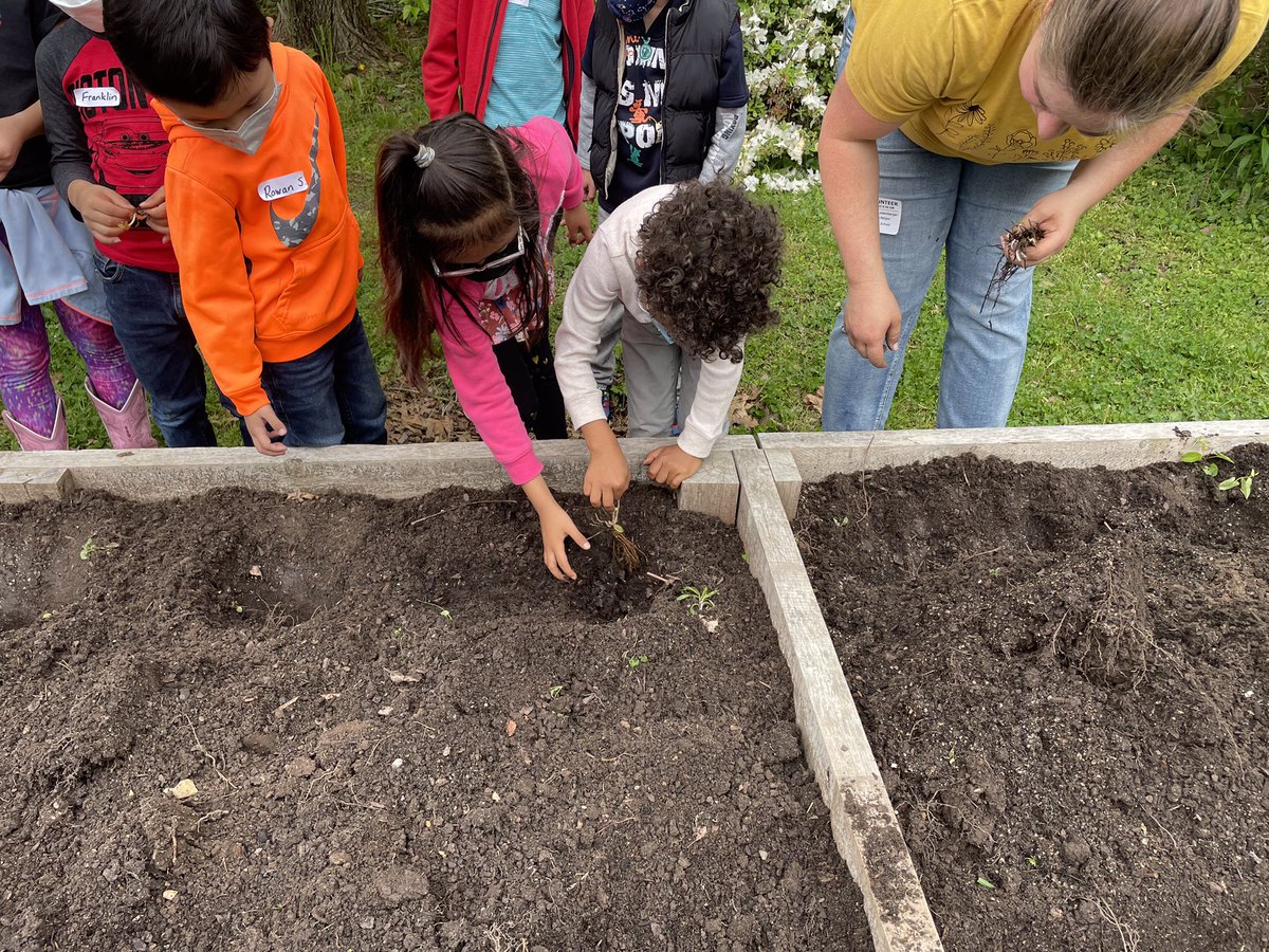 We planted strawberries and asparagus last week! We can’t wait to watch it grow!