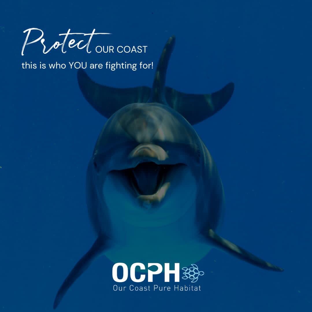 Our_Pure_Coasts's tweet photo. It's starts with me, you - all of us! 🌊
Protect our coast and fight for their habitat!😍
❤
Read more in our blog: https://t.co/ORtk2gB3zw https://t.co/tqn04u0RFb