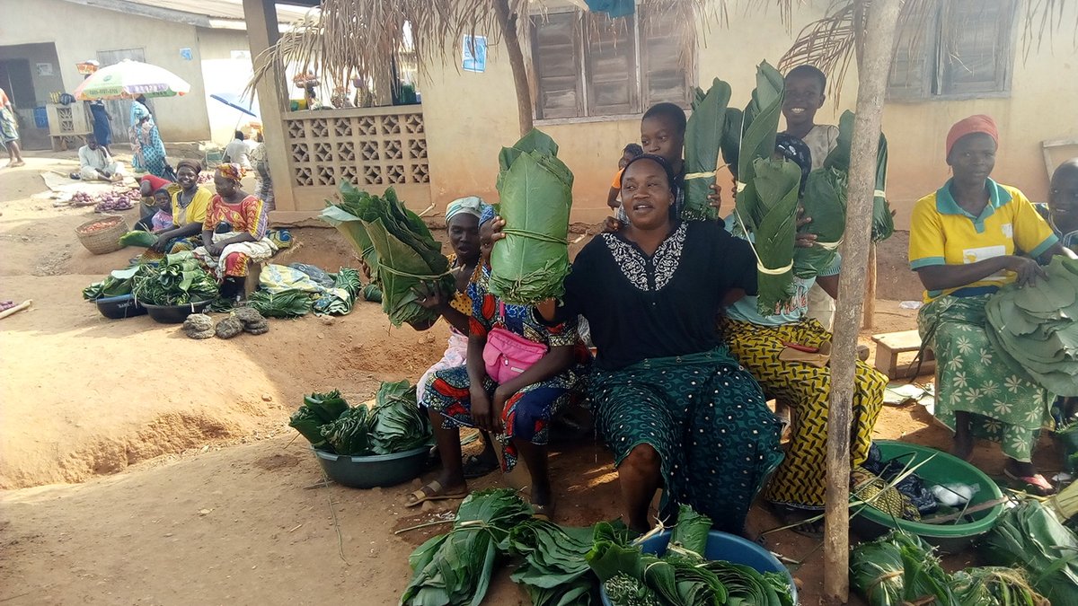 #BiodiversityDay is coming up and we are celebrating with a new Google Earth story showcasing #EquatorPrize winners that are restoring seed biodiversity and Indigenous food systems.

Immerse yourself in these 7 stories of community resilience 👇🏼earth.google.com/web/@9.0562186…