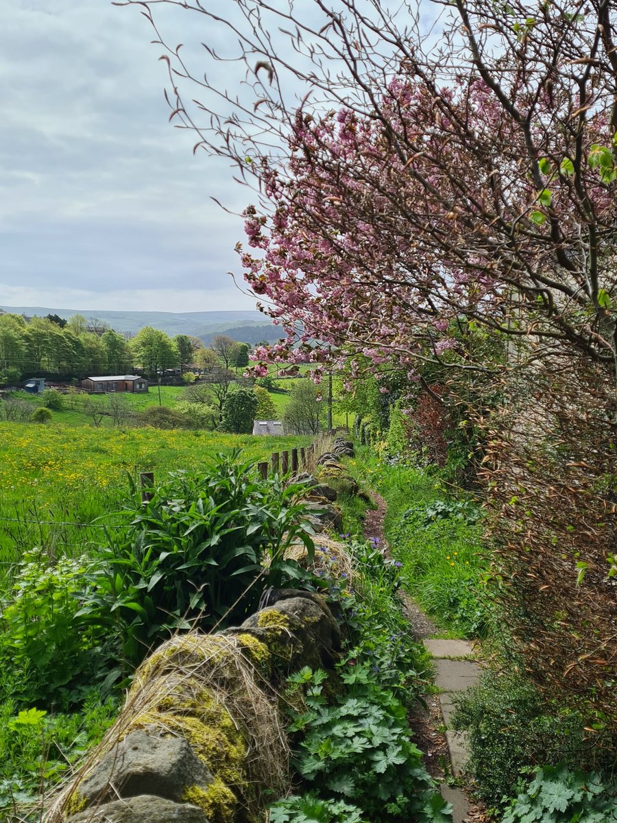 ZeldaChappel's tweet photo. Been staying not very far away from home for the last couple of days and making the most of some fantastic (if quite steep) walking and thinking time. https://t.co/IC9f9PIhjO