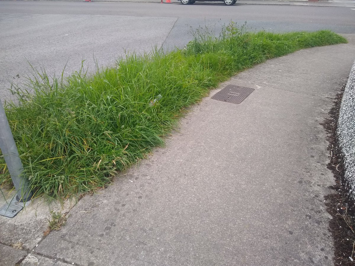 Peggys_Airbnb's tweet photo. @ciaramconway @WaterfordCounci Actually Ciara I wish I could say the same for Murphy Place albeit not the fault of staff but management @damiengeoghegan @WaterfordCounci @McGuinnessConor #TomCronin #DeclanDoocey #PatNugent #JohnPratt #ThomasPhelan https://t.co/tk0ltfxibl
