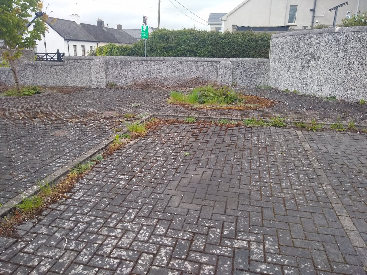 Peggys_Airbnb's tweet photo. @ciaramconway @WaterfordCounci Actually Ciara I wish I could say the same for Murphy Place albeit not the fault of staff but management @damiengeoghegan @WaterfordCounci @McGuinnessConor #TomCronin #DeclanDoocey #PatNugent #JohnPratt #ThomasPhelan https://t.co/tk0ltfxibl