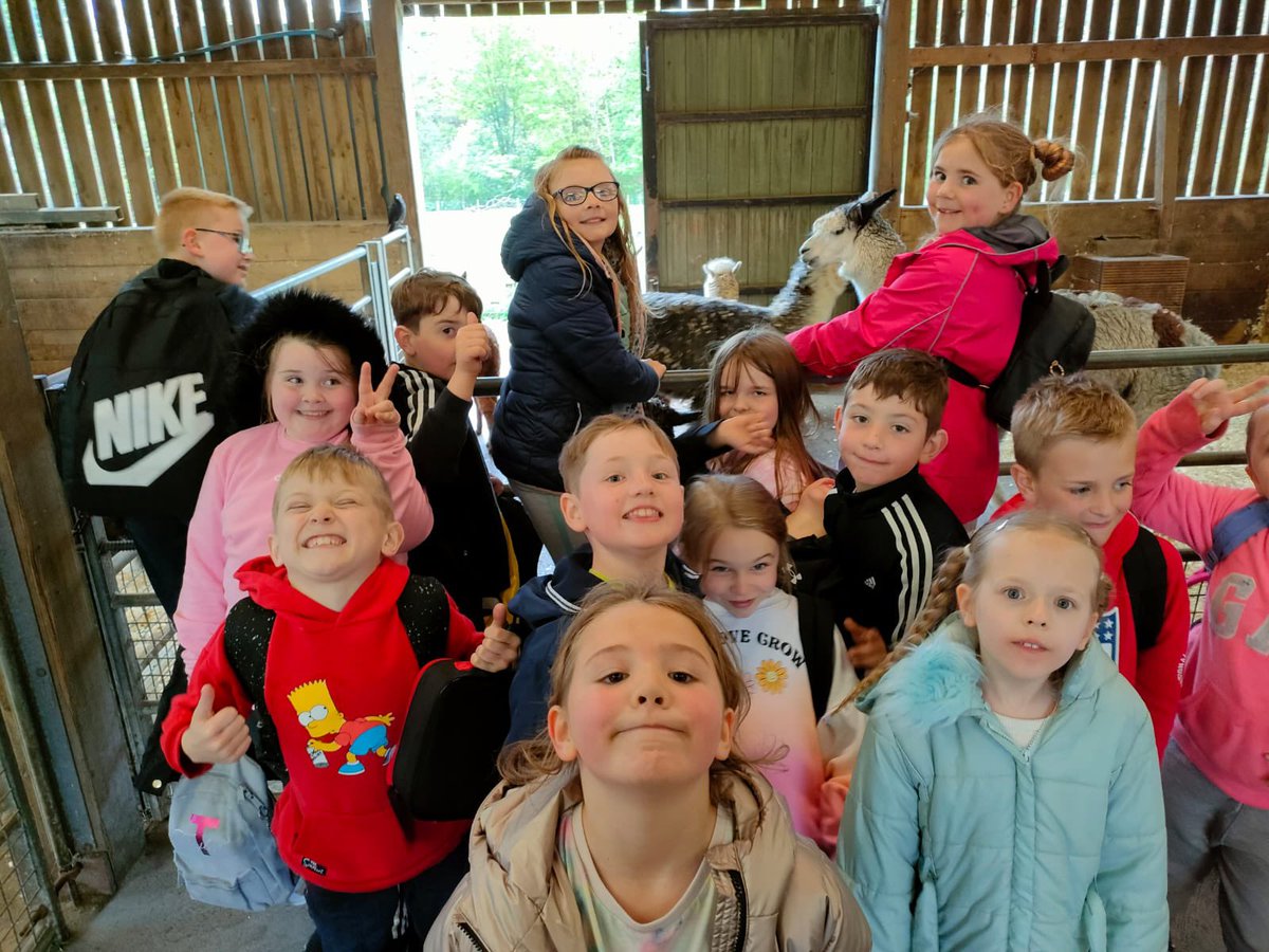 MuirhousePS's tweet photo. P3/4 had a great day out at Almond Valley today! Even though the weather wasn’t on our side 🌧 https://t.co/3zTS3MJitq