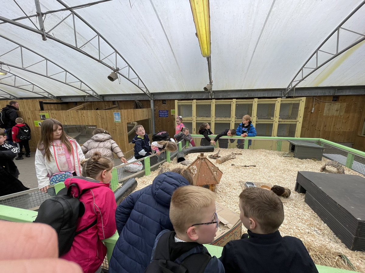 MuirhousePS's tweet photo. P3/4 had a great day out at Almond Valley today! Even though the weather wasn’t on our side 🌧 https://t.co/3zTS3MJitq