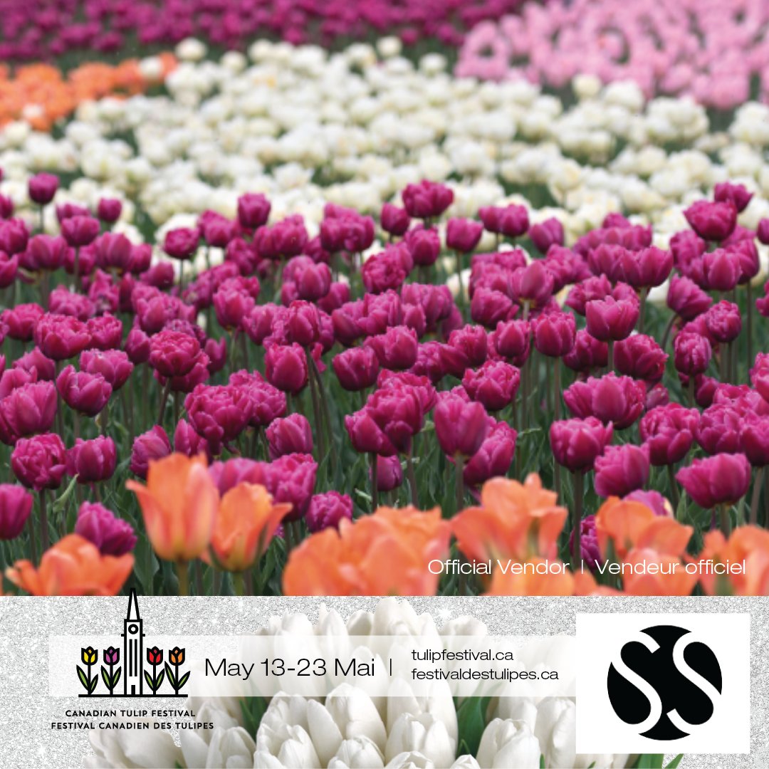 We're excited to have @sofiesharom as an official online vendor for this year's tulip festival. You can get your own beautiful Tulip Festival print from the award-winning photographer on our website. tulipfestival.ca/sofie-sharom-p…