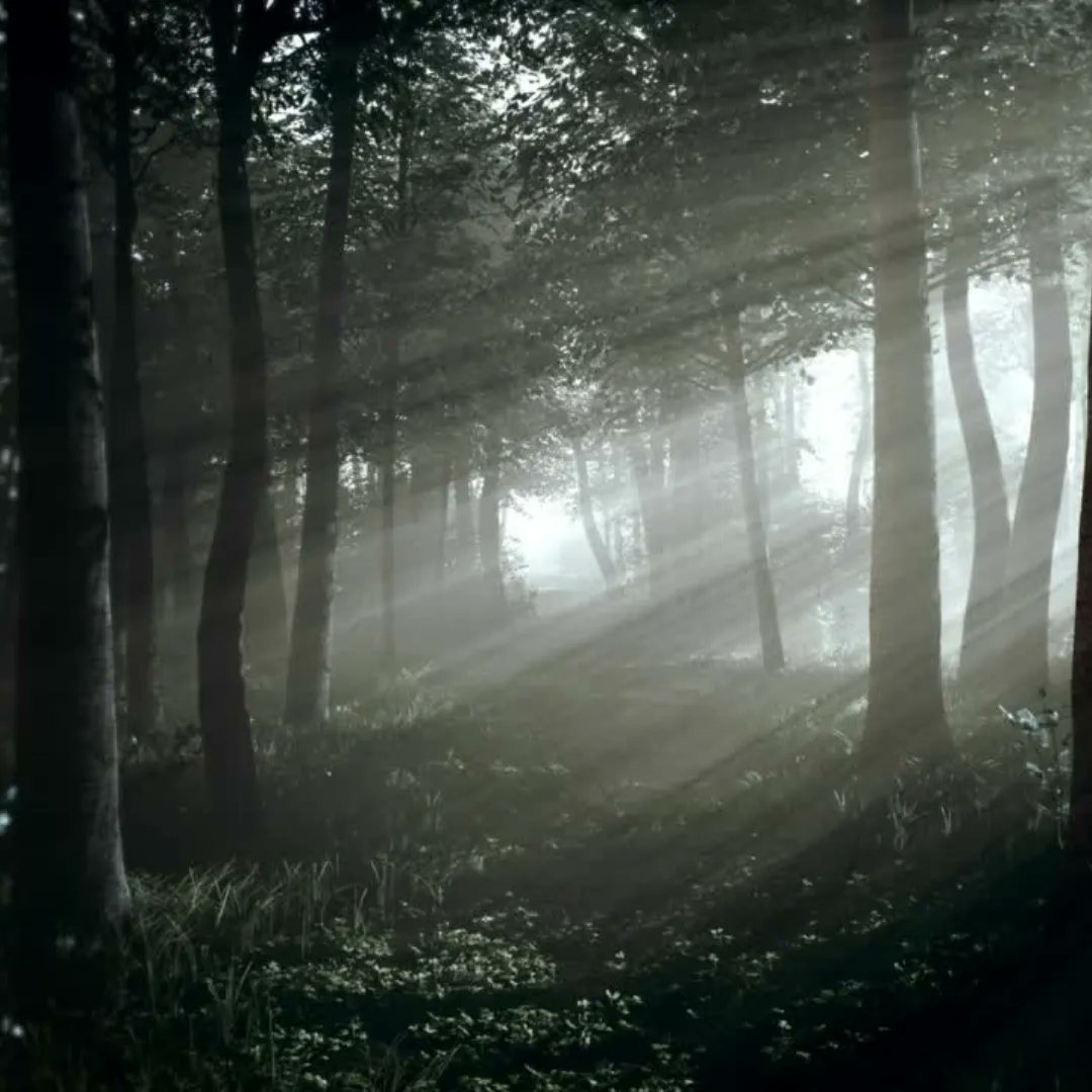 "The forest awakens..."

We have a little sneak peek from our upcoming album for you. 
If you're ready to hear it, comment with your favourite nature emoji! 🌱🍃🌱🌳
#kalevala #kalevalamusical #newbroadway #newmusical