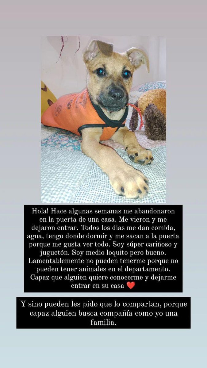 tachusoledad's tweet photo. https://t.co/9zMcWbAPjB