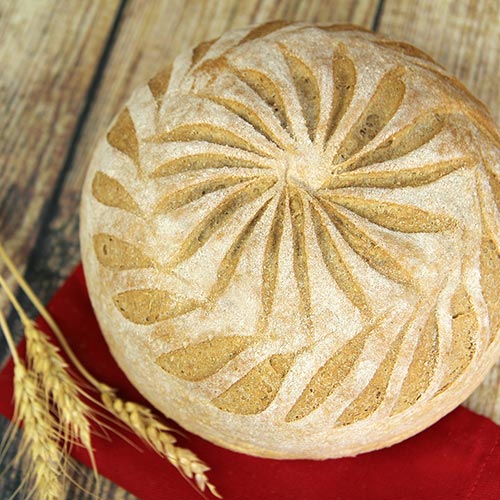GreatHarvest's tweet image. What's the big deal about Great Harvest? Our loyal "breadheads" are legion. Learn why:  hubs.li/Q0193pz50 #BestBreadEver