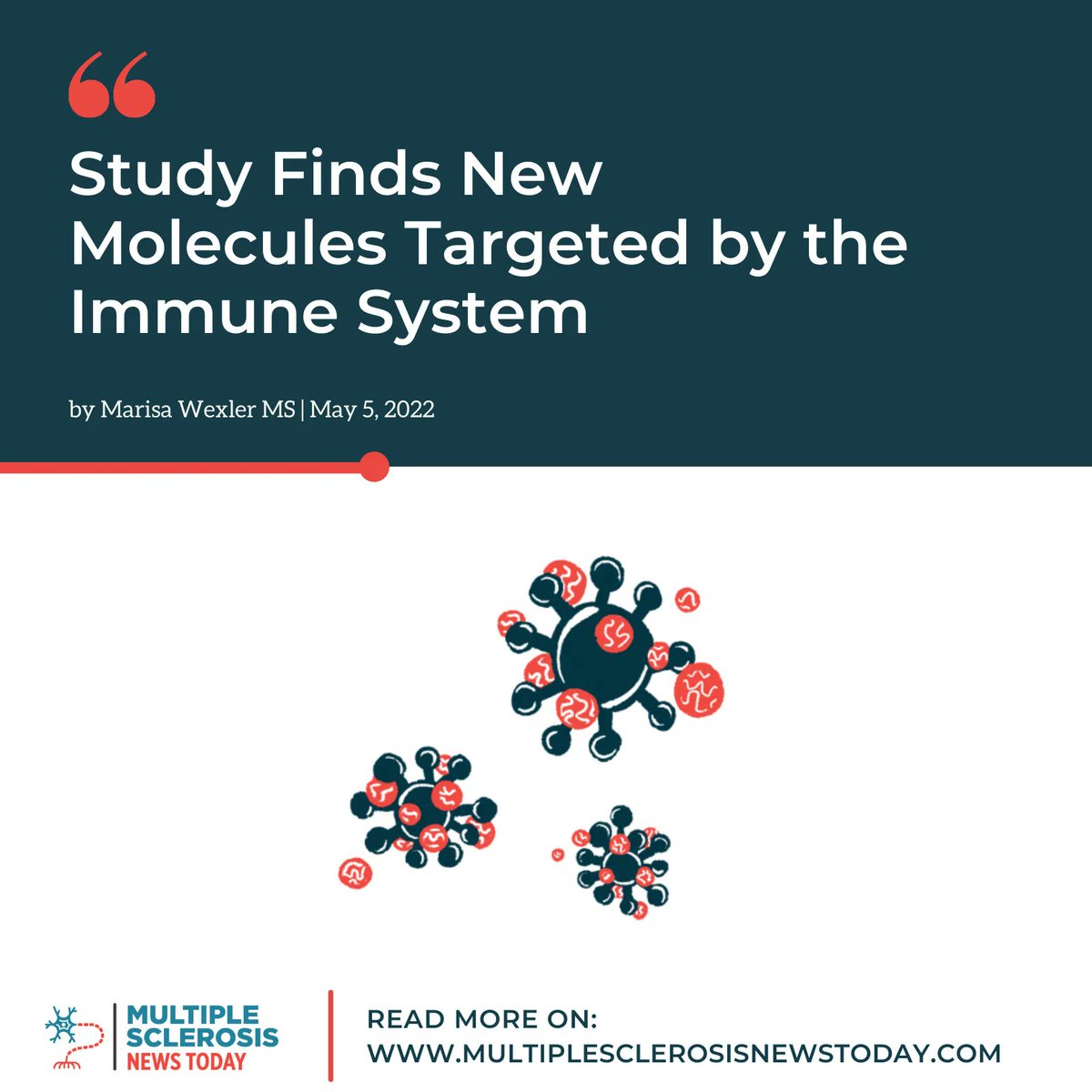 MSNewsToday's tweet photo. In MS, T-cells drive the body’s mistaken immune system attack on healthy parts of the nervous system. Researchers have now identified four new brain proteins targeted by these cells, which could result in new, more specific treatments. https://t.co/gwZfmI0rah

#multiplesclerosis https://t.co/krGyE3xpkk