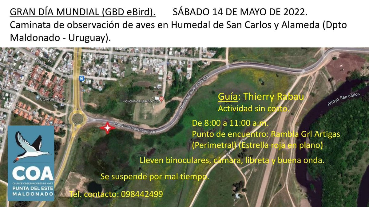 Gran Día Mundial de Observación de Aves.
📌 San Carlos, Maldonado.
Organiza: COA Punta del Este - Maldonado