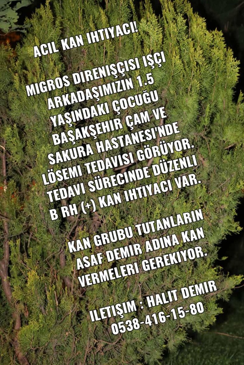 calisir1985's tweet photo. #acilkanaihtiyaçvar
#kızılay 
#insaniyardımlaşma
#sağlıkbakanlığı
#lösemiilesavaş https://t.co/O5qtmHe7PD