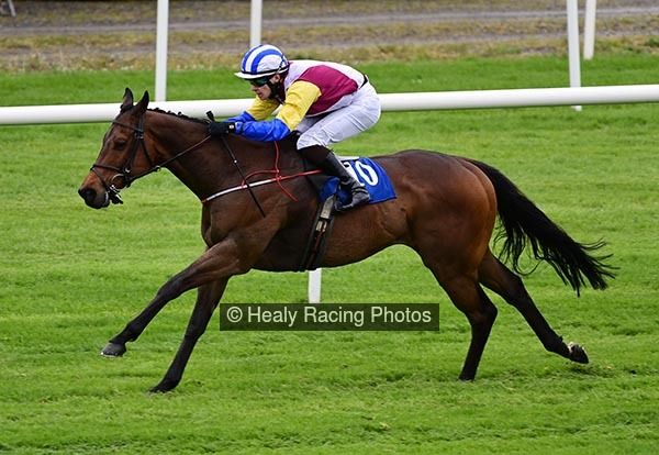 irishracing's tweet photo. Timourid a cosy winner under McAteer  @RoscommonRaces https://t.co/EdsmdgRtiw https://t.co/r4S7GhUFYy