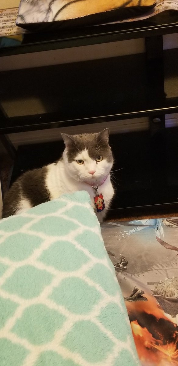 McClureJodie's tweet photo. I is unhappy with da snow outside https://t.co/qjbVw2MClp
