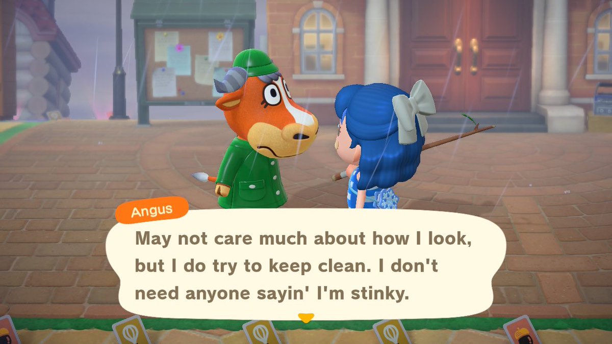 MayorAmanda1's tweet photo. Im back and Angus moved in hes sweet https://t.co/kaZJEZoFq7
