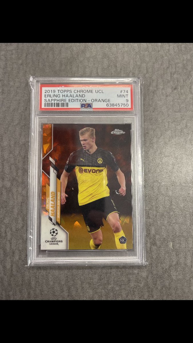 William K tweet media